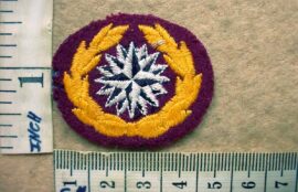 4601 Reconnaissance Commando beret badge, 1st pattern (C889)
