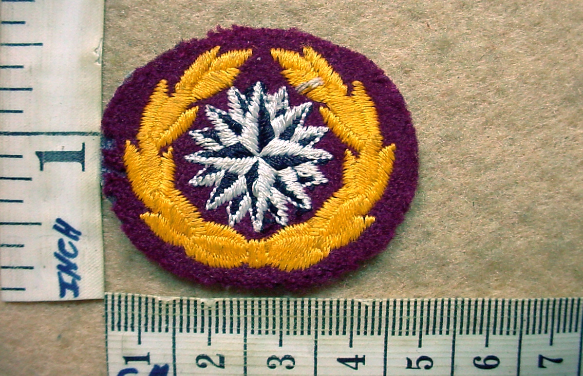 4601 Reconnaissance Commando beret badge, 1st pattern (C889)
