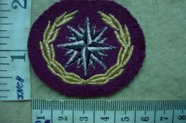 10221 Reconnaissance Commando beret badge (C890)