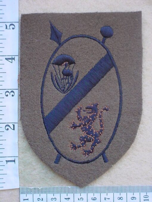 9560 Ciskei Parachute Battalion arm flash (C917)