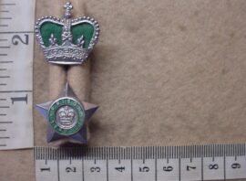 8230-1 Rhodesian Federal Prison Service Chief Superintendent rank badges (DW2 1086)