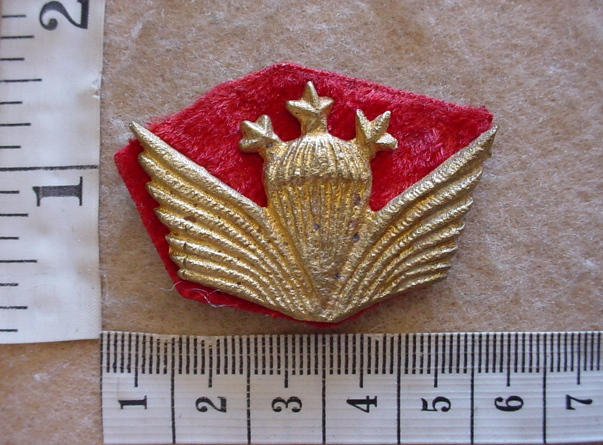 748 Afghanistan parachute wings, 2nd series, 1st Class (Para Afghanistan)