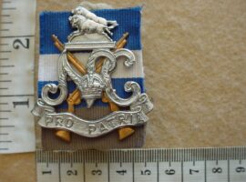 191-1 Natal Carbineers cap badge (CO373)