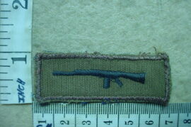 2954-1 South African Army Marksman award (DW1 9 29)
