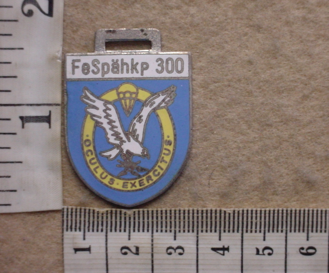 4255-8 German Army 300 Long Range Reconnaissance Company pocket badge (Para Germany)