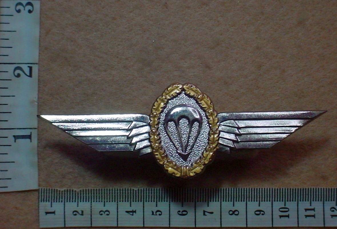 4255-3 German Army parachute wings, Class 1 (Para Germany)