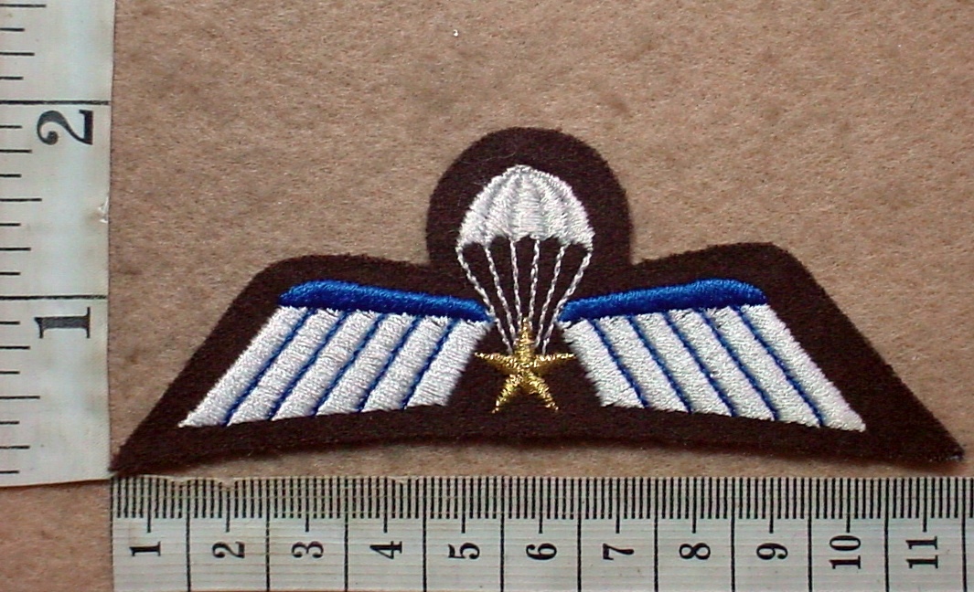 3908-1 Netherlands Army parachute wings (Para Netherlands)