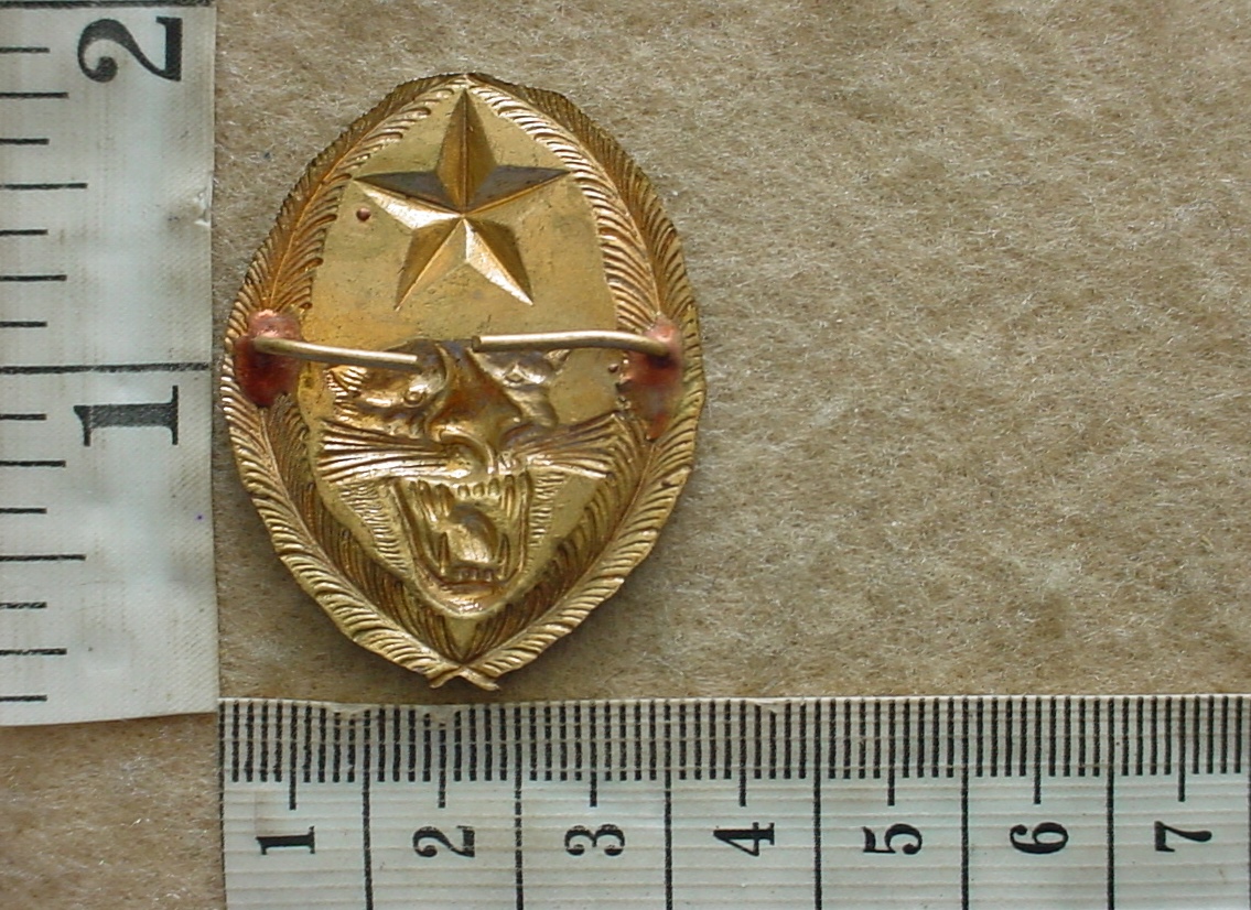 3844-2 Congolese Army beret badge, early model (Para Congo) - Image 2