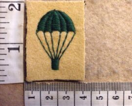 3971-4 British Light Infantry paratrooper badge (Para England)