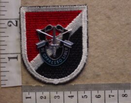 8698-1 United States 6th Special Forces Group beret badge on flash (Para USA) (Copy)