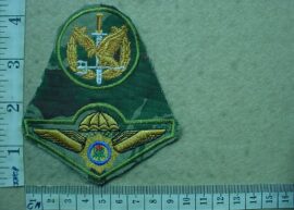 6247 South African Police Special Service Task Force Operator badge and parachute wings combo (AD3551)