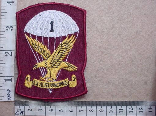 2072-1 South African 1 Parachute Battalion tracksuit badge (C244)