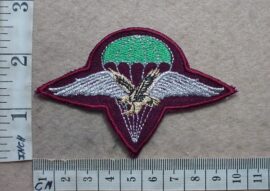 5299-1 South African 1 Parachute Battalion beret badge, Para Association (C317)