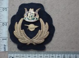 9571-1 South African Transport Services cap badge, black backing (C54)