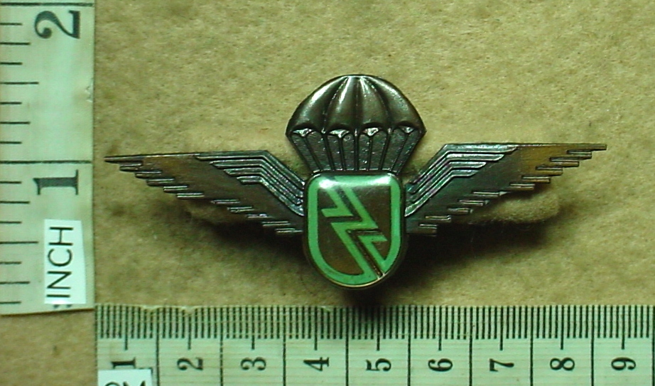 4054-1 Eskom Electricity Company Security parachute wings (CO3939)