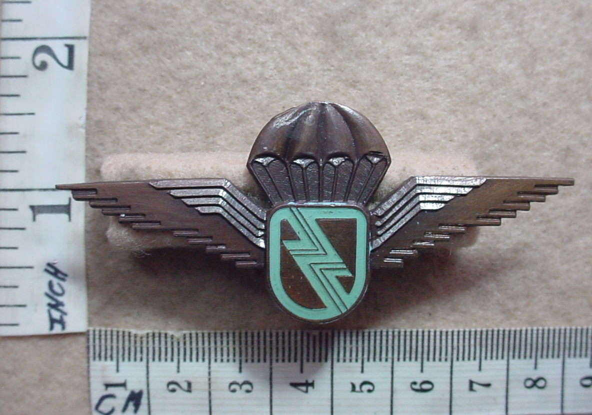 4054-1 Eskom Electricity Company Security parachute wings (CO3939)