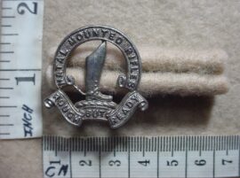 209-1 Natal Mounted Rifles collar badge (CO470)