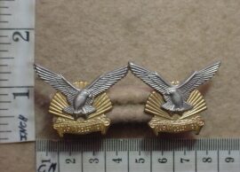 293-1 Durban Regiment collar badges (CO736)