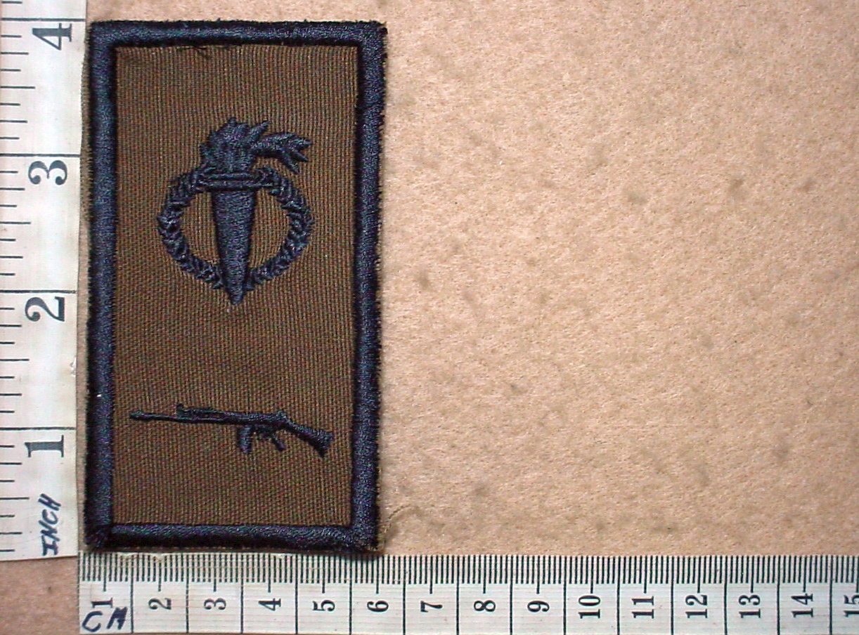 10668-1 44 Parachute Regiment Pathfinder - Marksman badge (DW1 50 5)