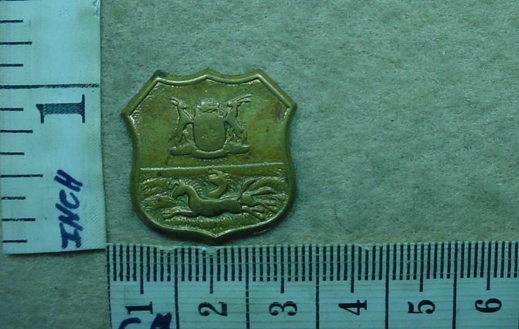 198-1 Durban Light Infantry collar badge (CO426)