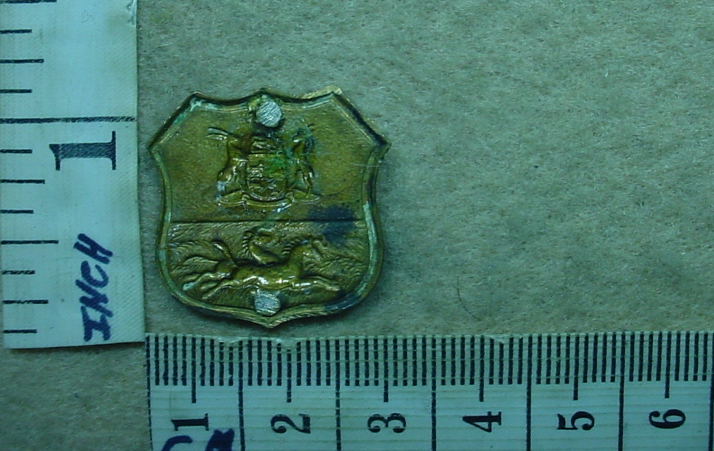 198-1 Durban Light Infantry collar badge (CO426) - Image 2