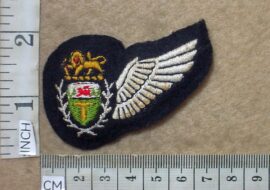 8222-1 Rhodesian Air Force Air Crew wing (C434)