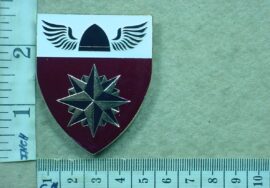 5447-1 South African 4 Special Forces Regiment arm flash (F33)