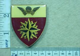 11009-1 South African 5 Special Forces Regiment arm flash (F35)