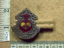 10786-1 101 Air Supply Unit cap badge (AD439)