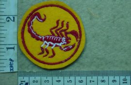 395-3 South African Hunter Group Instructor arm flash, original (C384)