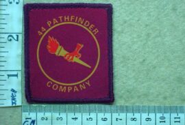 9891-1 44 Parachute Brigade Pathfinder Company arm flash, 1st pattern (C389)