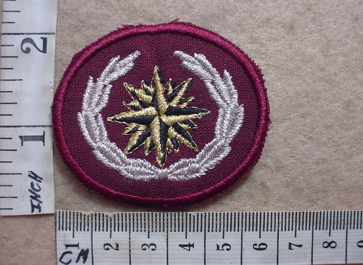 8926-1 South African Special Forces beret badge (C890)