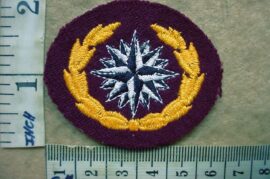 8925 Reconnaissance Commando beret badge, 2nd pattern (C890)