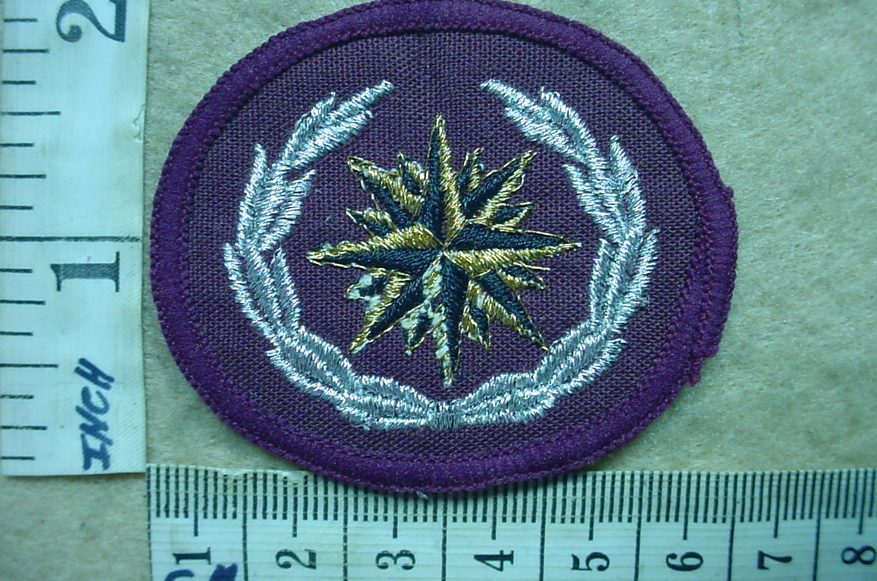 8926-2 South African Special Forces beret badge (C890)