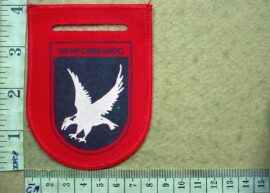 5069-4 Afrikaner Weerstand Beweging Wenkommando arm flash (AWB) (CO2059)