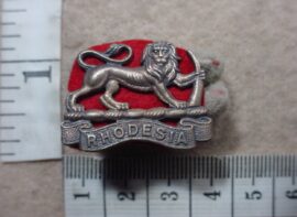 1528-4 4th Rhodesian Artillery Anti Tank Battery collar badge, mess dress (CO3145)