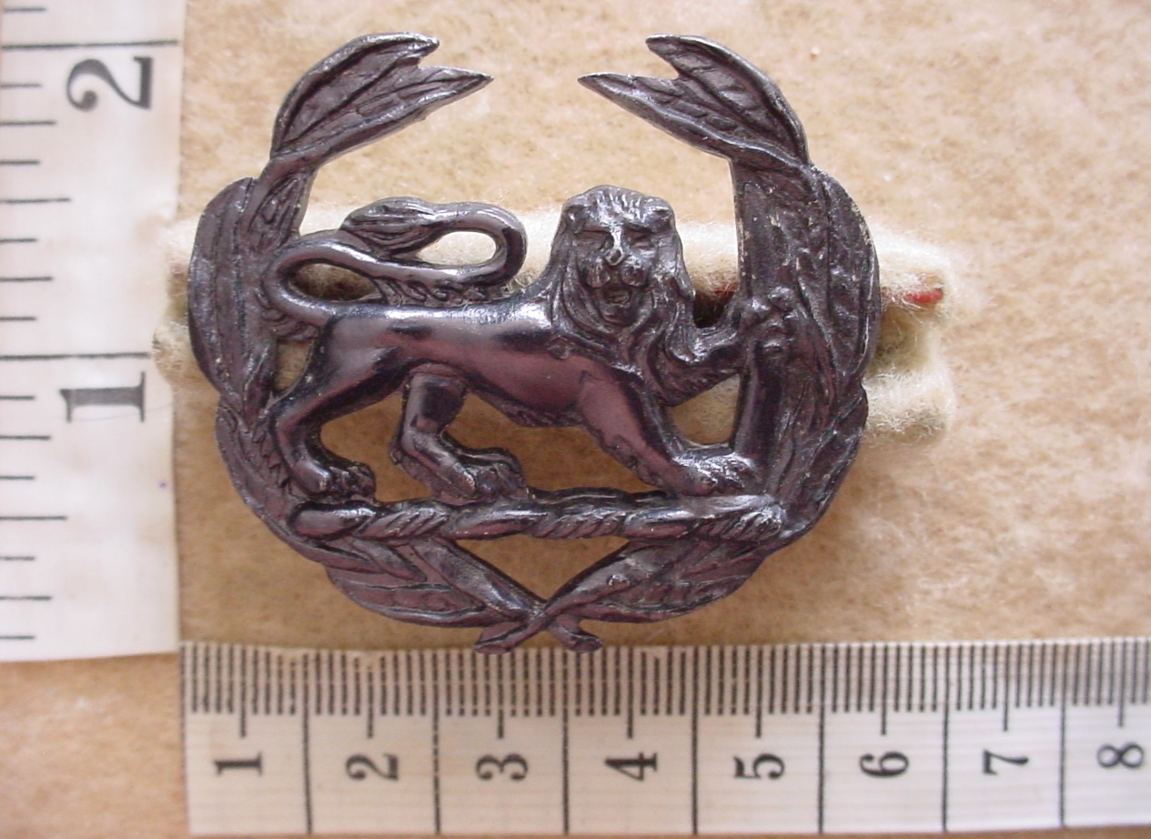 10441-1 Rhodesian Army Warrant Officer Class 2 rank badge, black (CO3252)