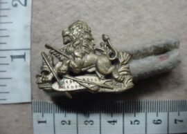 10028-1 British South Africa Police cap badge (CO3373)