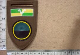 5391-1 South African Infantry C Company arm flash, Group 4 HQ balkie (DW1 7 13)