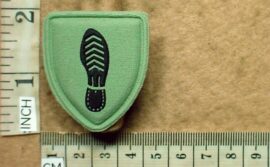 10669-1 South African Army Tracker badge (DW1 9 19)