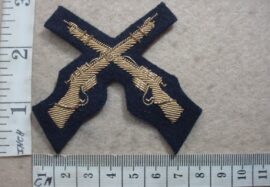 10070-1 British South Africa Police Marksman badge (DW2 134)