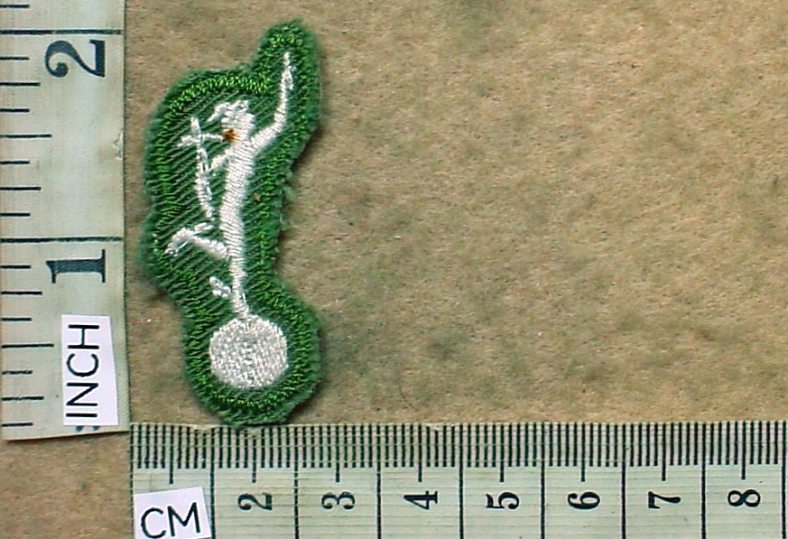 11038-1 Rhodesian Army Signals qualification badge, Camo Dress (DW2 905)
