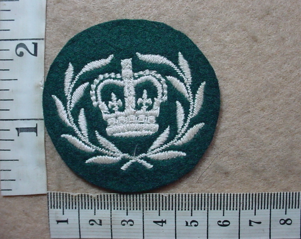 2815-3 Rhodesian Army Warrant Officer Class 2 rank badge (DW2 965)