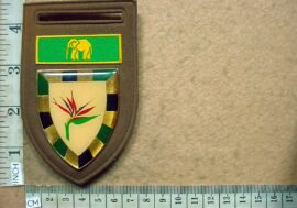 10261-2 6 South African Infantry arm flash, Eastern Cape Command bar (F175)