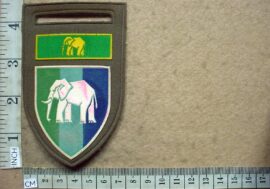 5736-2 Eastern Province Signal Unit arm flash (F727)