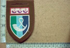 5736-4 Orange Free State Command Signal Unit arm flash (F730)