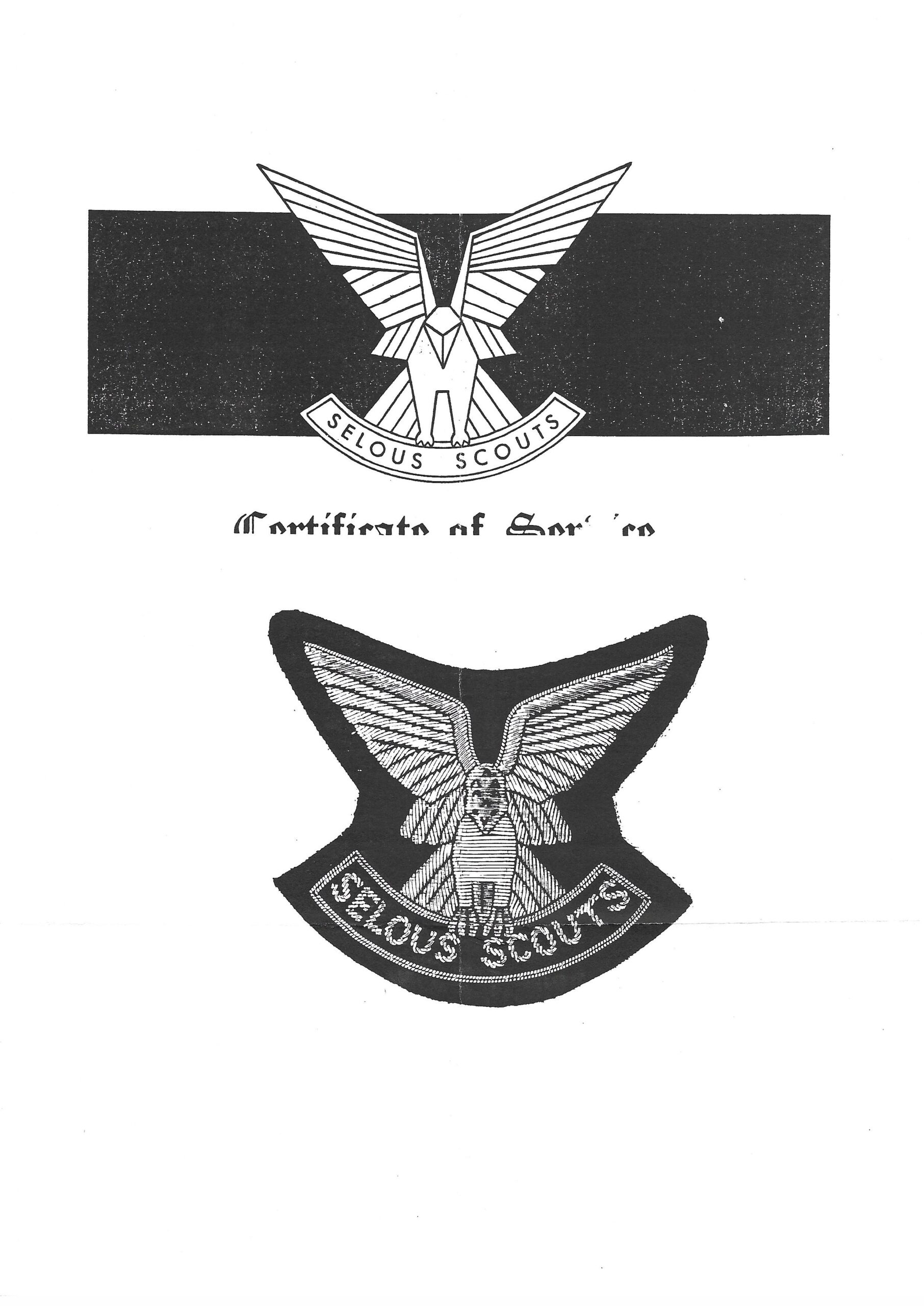 4015-1 Rhodesian Selous Scouts blazer badges x 3 (Para Rhodesia) - Image 5