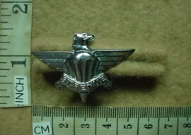 1751-1 South African 3 Parachute Battalion collar badge (CO3945)