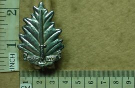 436-1 Regiment University of Stellenbosch cap badge (CO907)