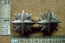10876-1 South African Special Forces collar badges (DW1 51 8)